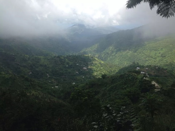 Blue Mountains in Jamaica